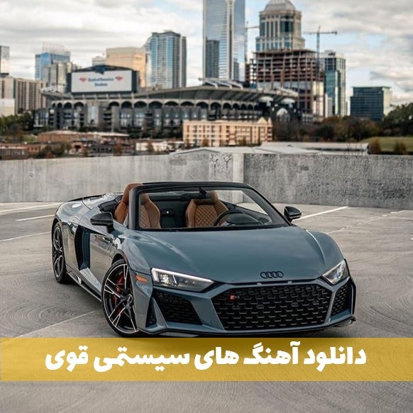 اهنگ سیستمی وحشی