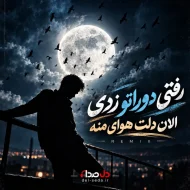 دانلود آهنگ رفتی دوراتو زدی الان دلت هوای منه | ریمیکس و اصلی