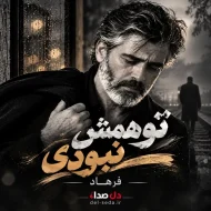 دانلود آهنگ فرهاد تو همش نبودی | تو این روزا پیشم نموندی